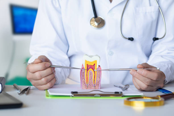 Best Emergency Denture Repair in Carleton, MI